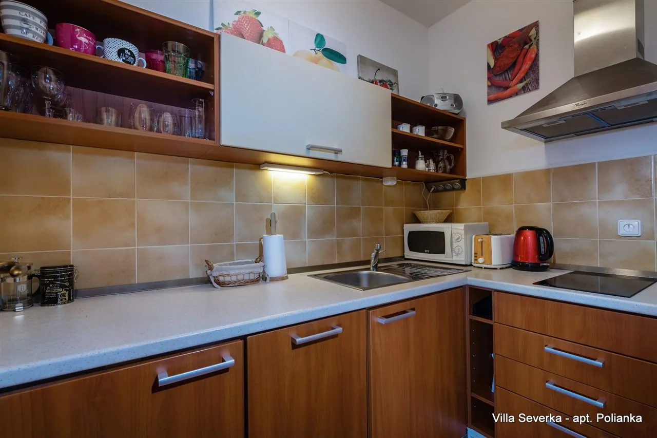 Apartment Polianka